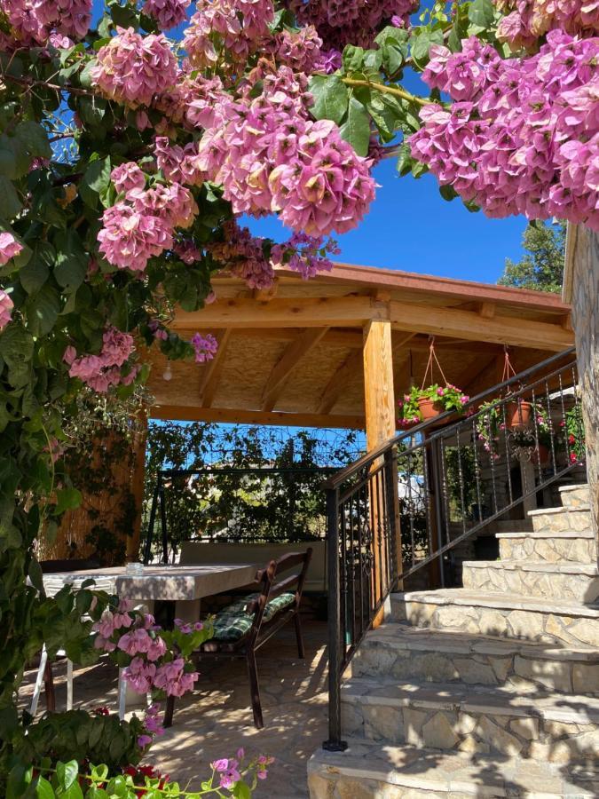 Villa Nada Marina Dış mekan fotoğraf