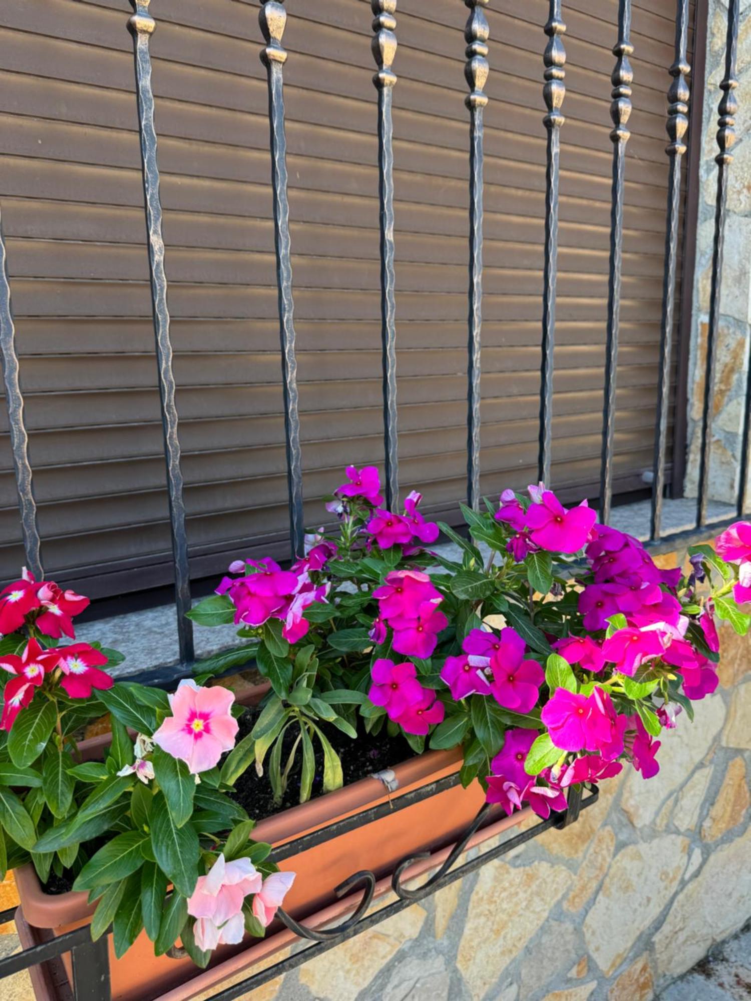 Villa Nada Marina Dış mekan fotoğraf